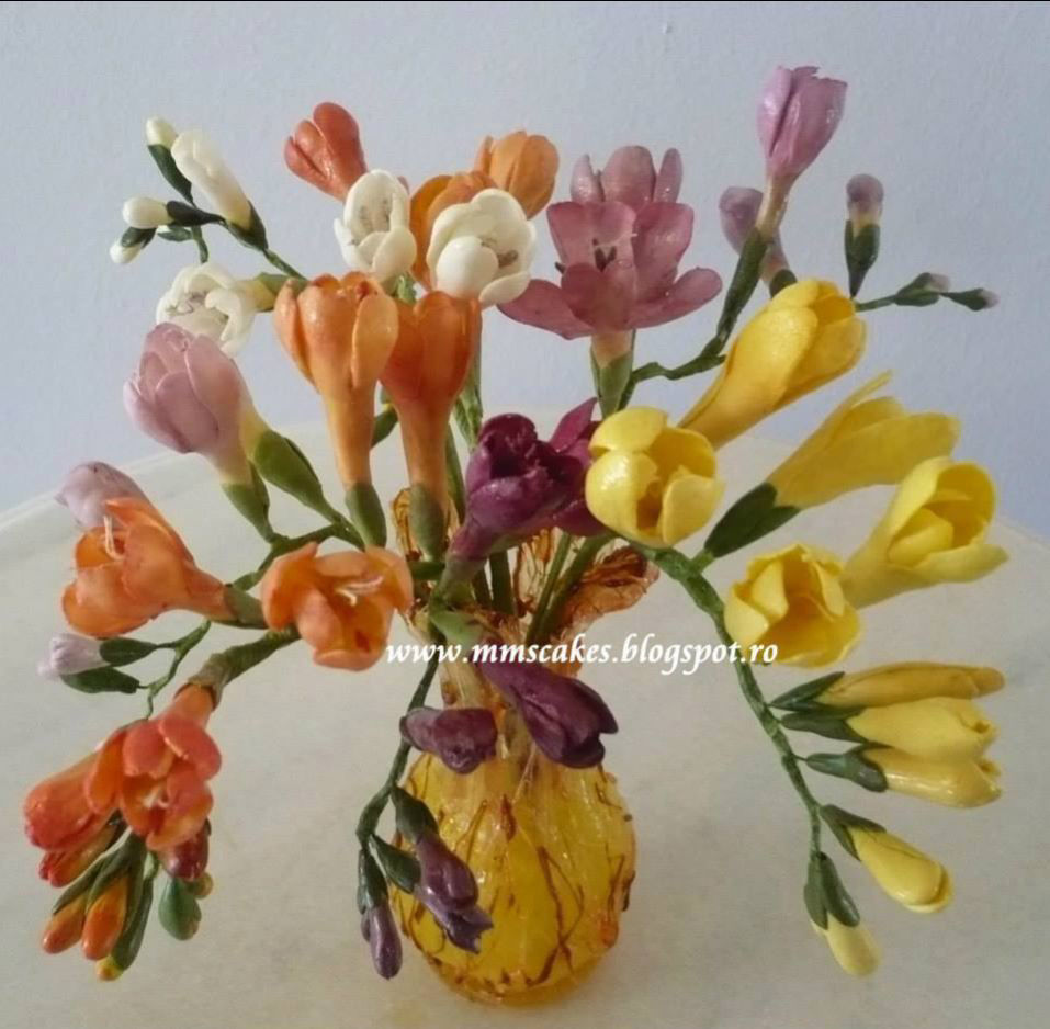 Marinela Muresan - Vaza cu Frezii